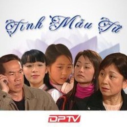 Tình Mẫu Tử