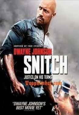 Snitch 2013