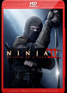 Ninja: Shadow Of A Tear