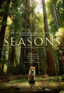 Seasons - Les saisons