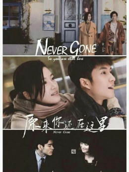 Never Gone